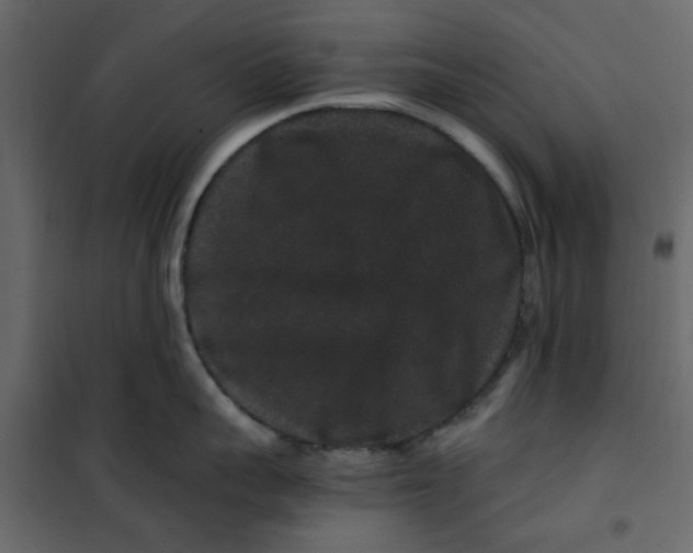 X0000101100959200807171909