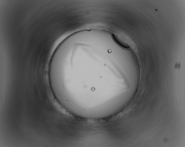 X0000101100960200807171909