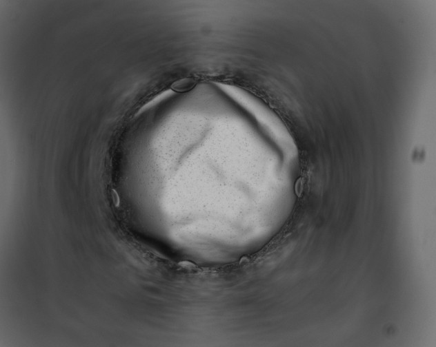 X0000101100961200807171908