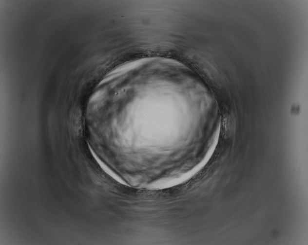 X0000101100963200807171908