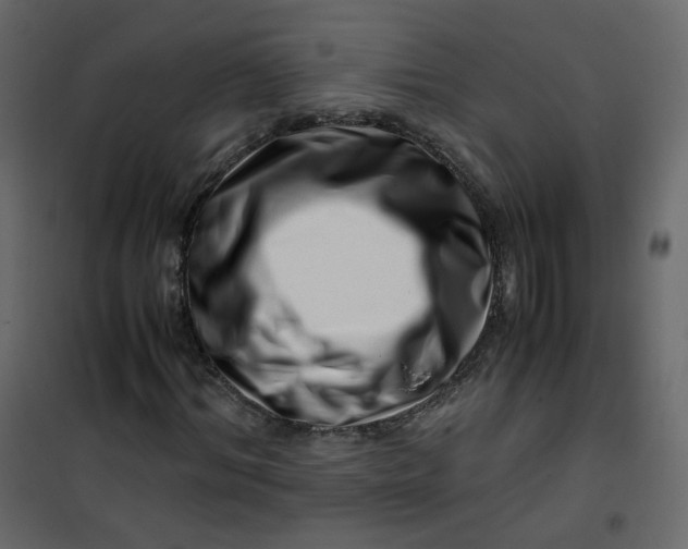 X0000101100964200807171908