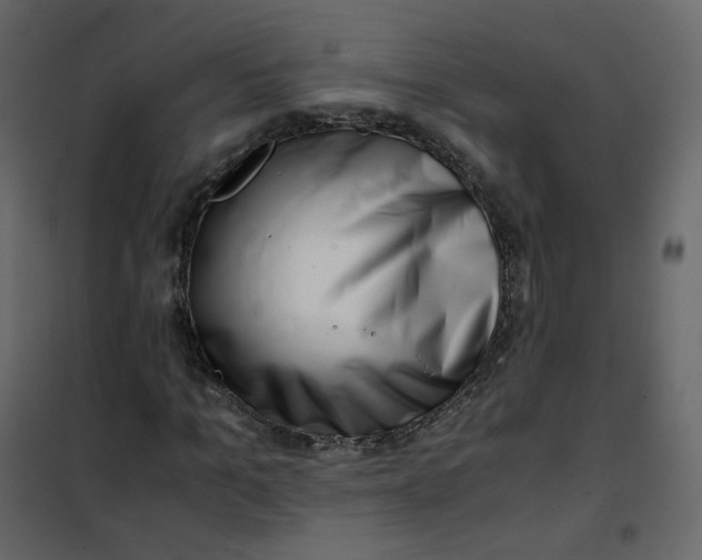 X0000101100965200807171908