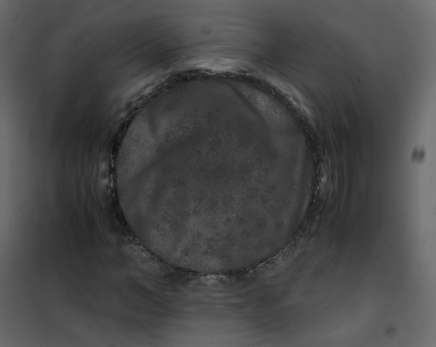 X0000101100966200807171908