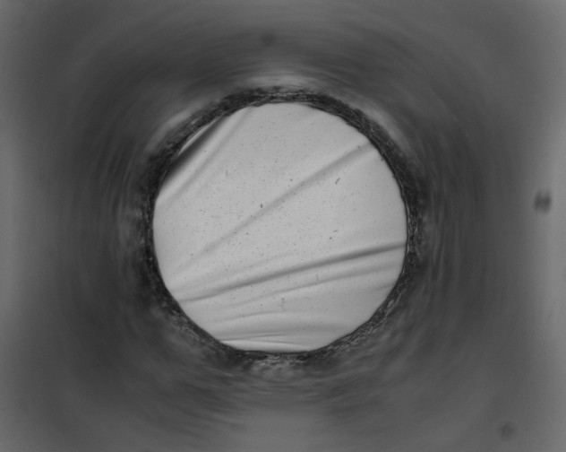 X0000101100967200807171908