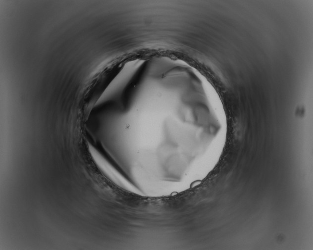 X0000101100968200807171908