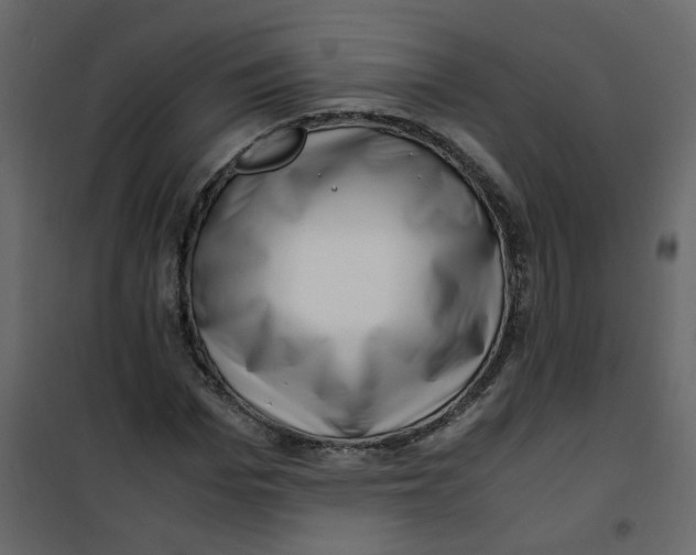 X0000101100969200807171908