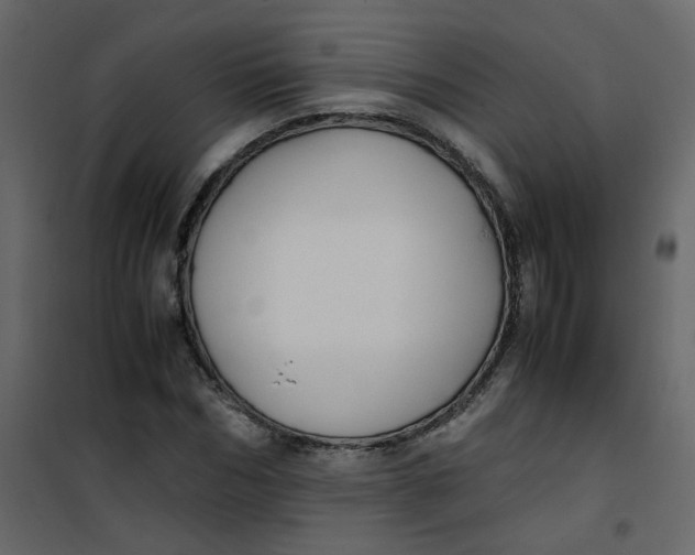 X0000101100970200807171908