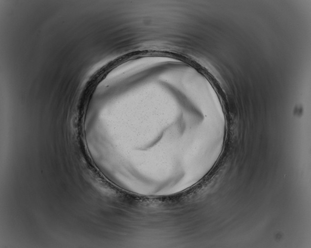 X0000101100971200807171908