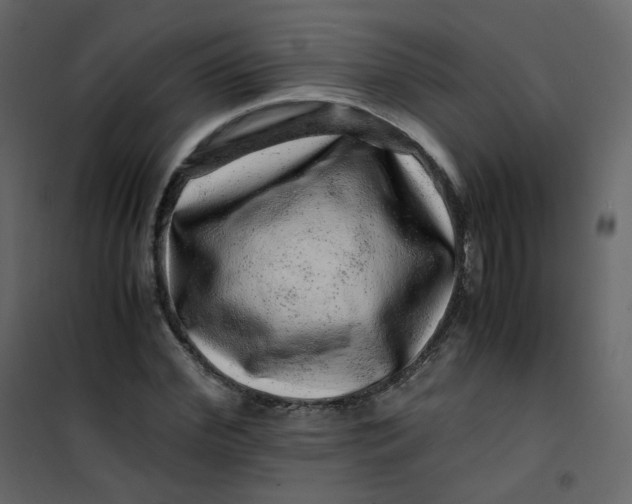 X0000101100972200807171908