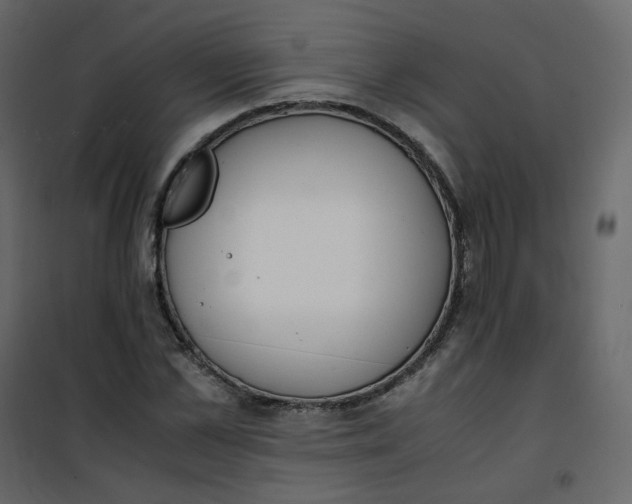 X0000101100973200807171908