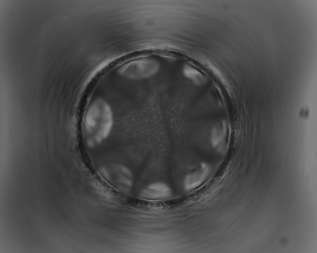 X0000101100975200807171908