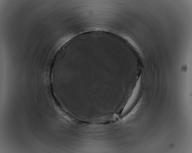 X0000101100977200807171908