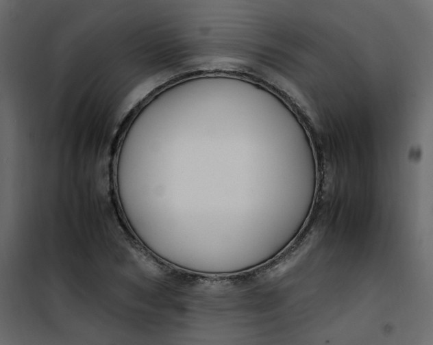 X0000101100978200807171908