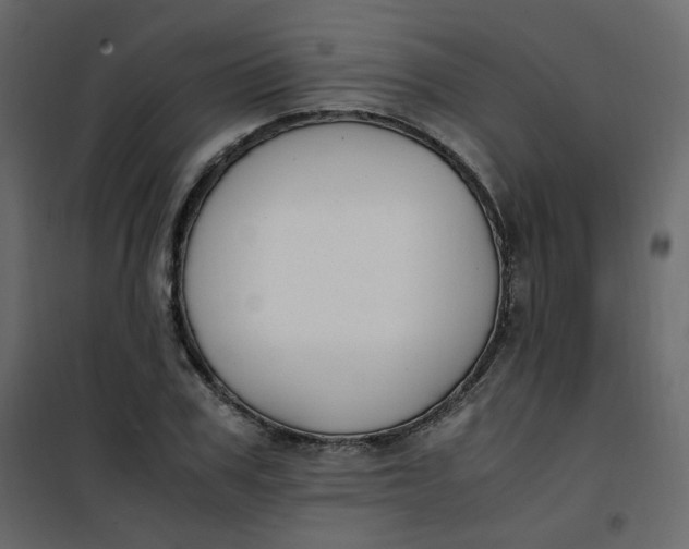 X0000101100979200807171908