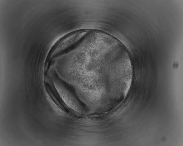 X0000101100980200807171908