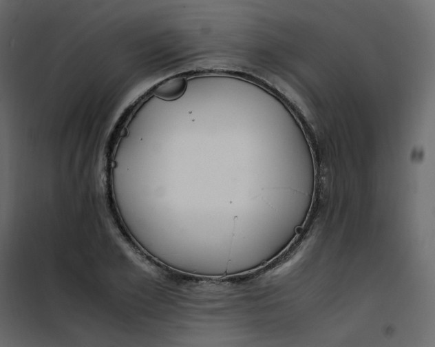 X0000101100981200807171908