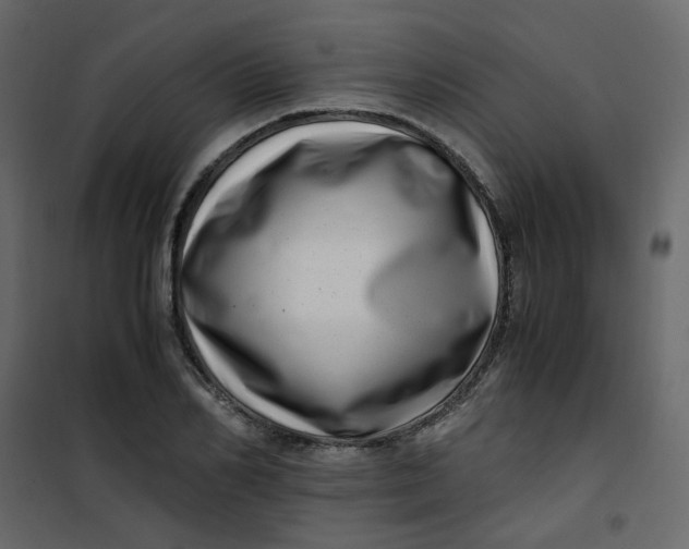 X0000101100982200807171908