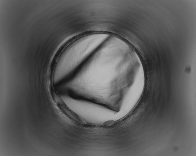 X0000101100984200807171908