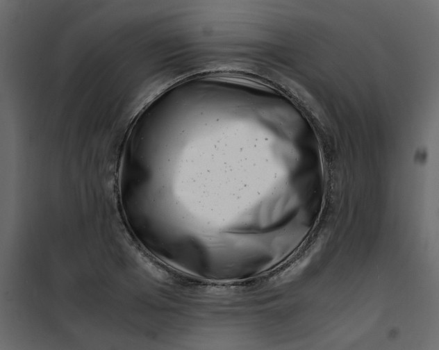 X0000101100985200807171908