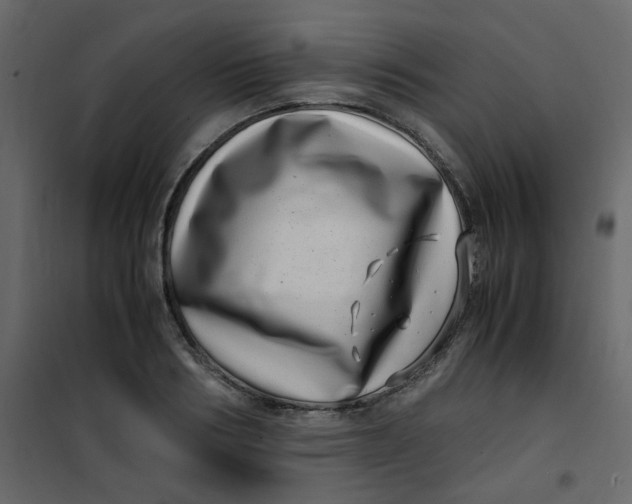 X0000101100986200807171908