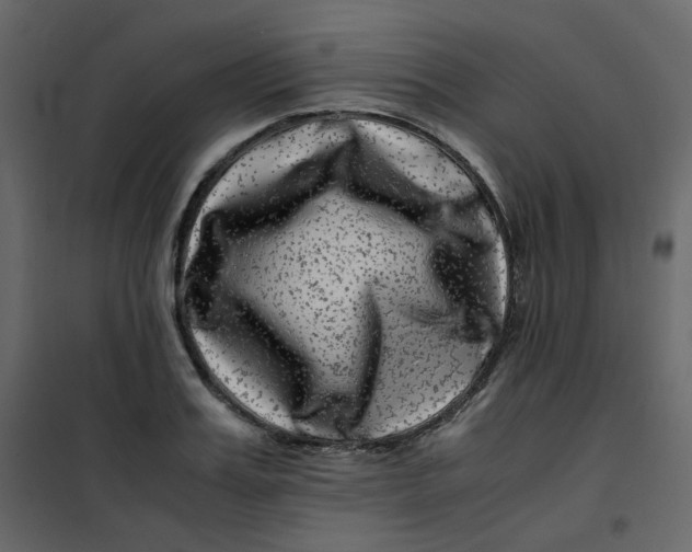 X0000101100987200807171908