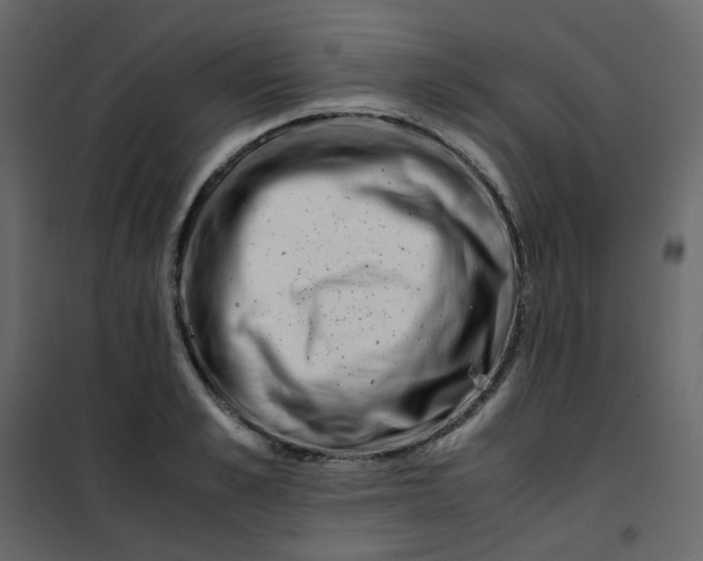 X0000101100989200807171907