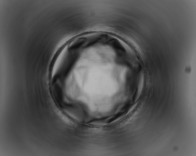 X0000101100990200807171907