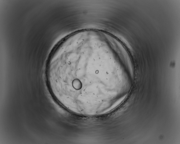 X0000101100991200807171907