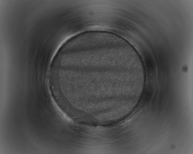 X0000101100992200807171907