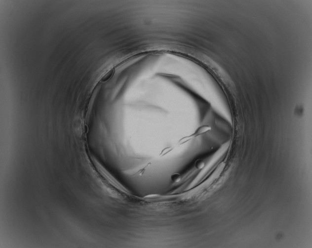 X0000101100993200807171907