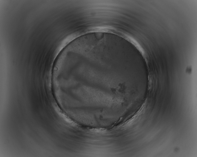 X0000101100994200807171907