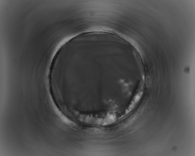 X0000101100995200807171907