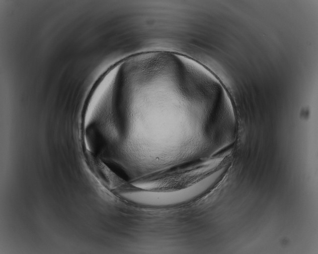 X0000101100996200807171907