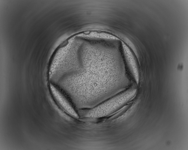 X0000101100997200807171907