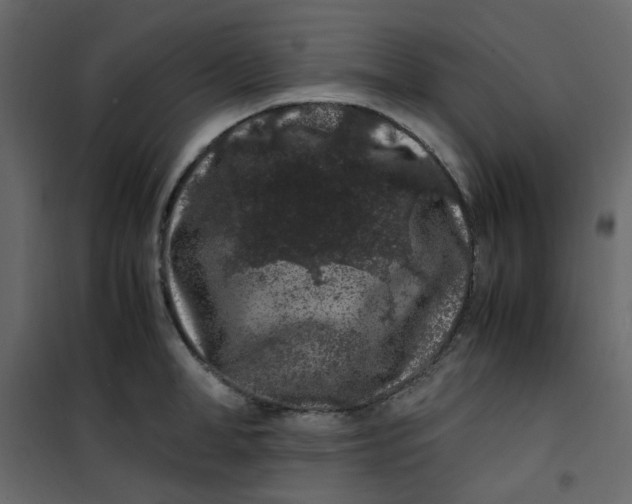 X0000101100998200807171907