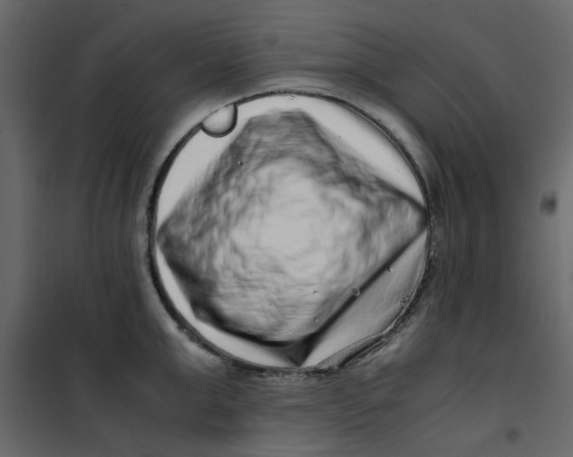 X0000101100999200807171907