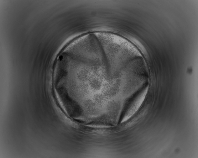 X0000101101000200807171907