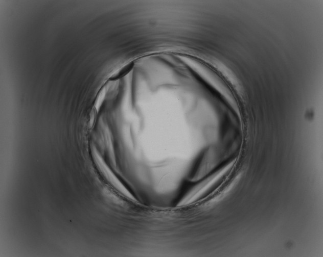 X0000101101001200807171907