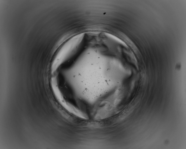 X0000101101002200807171907