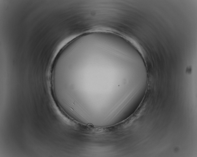 X0000101101003200807171907