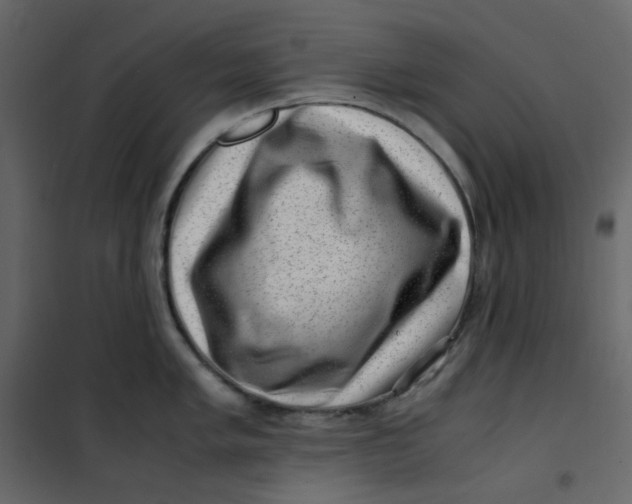 X0000101101005200807171907