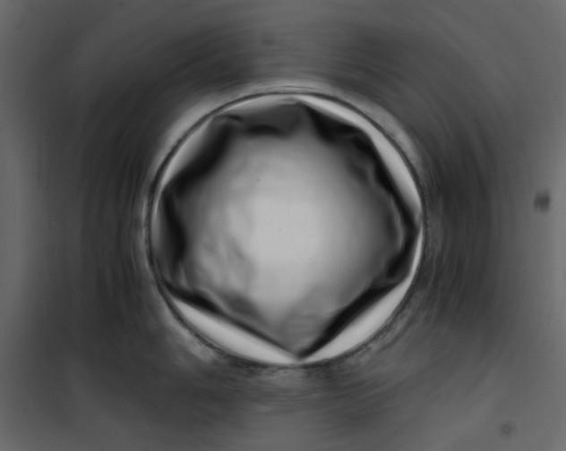 X0000101101006200807171907