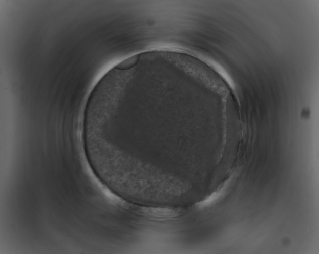 X0000101101007200807171907