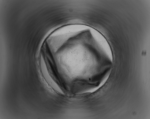 X0000101101008200807171907