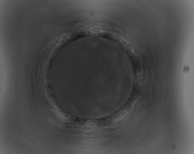 X0000101101009200807171907