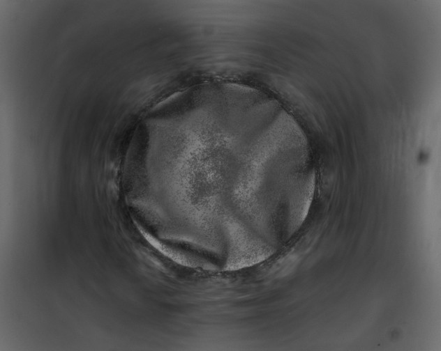 X0000101101010200807171907