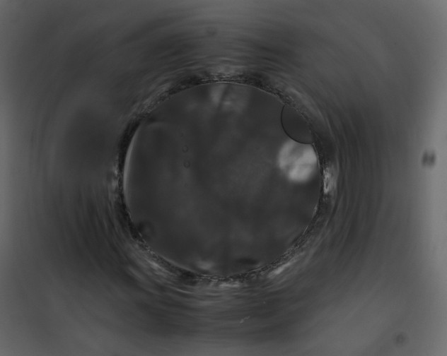 X0000101101011200807171907