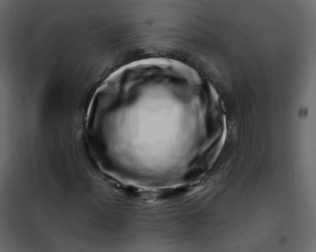 X0000101101012200807171907