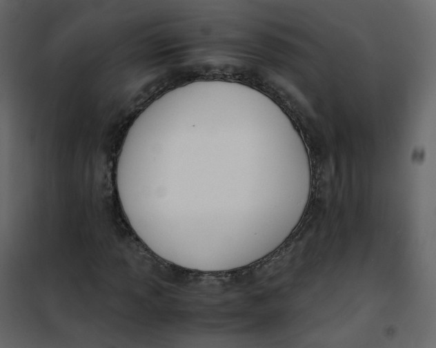 X0000101101013200807171907