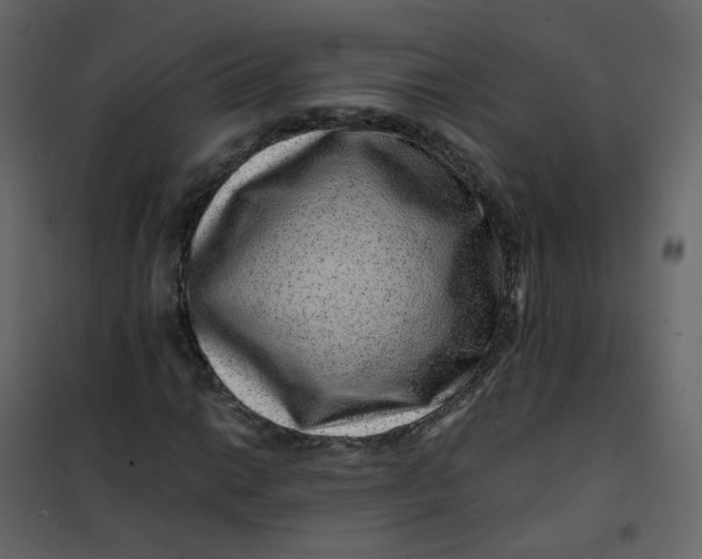 X0000101101014200807171907